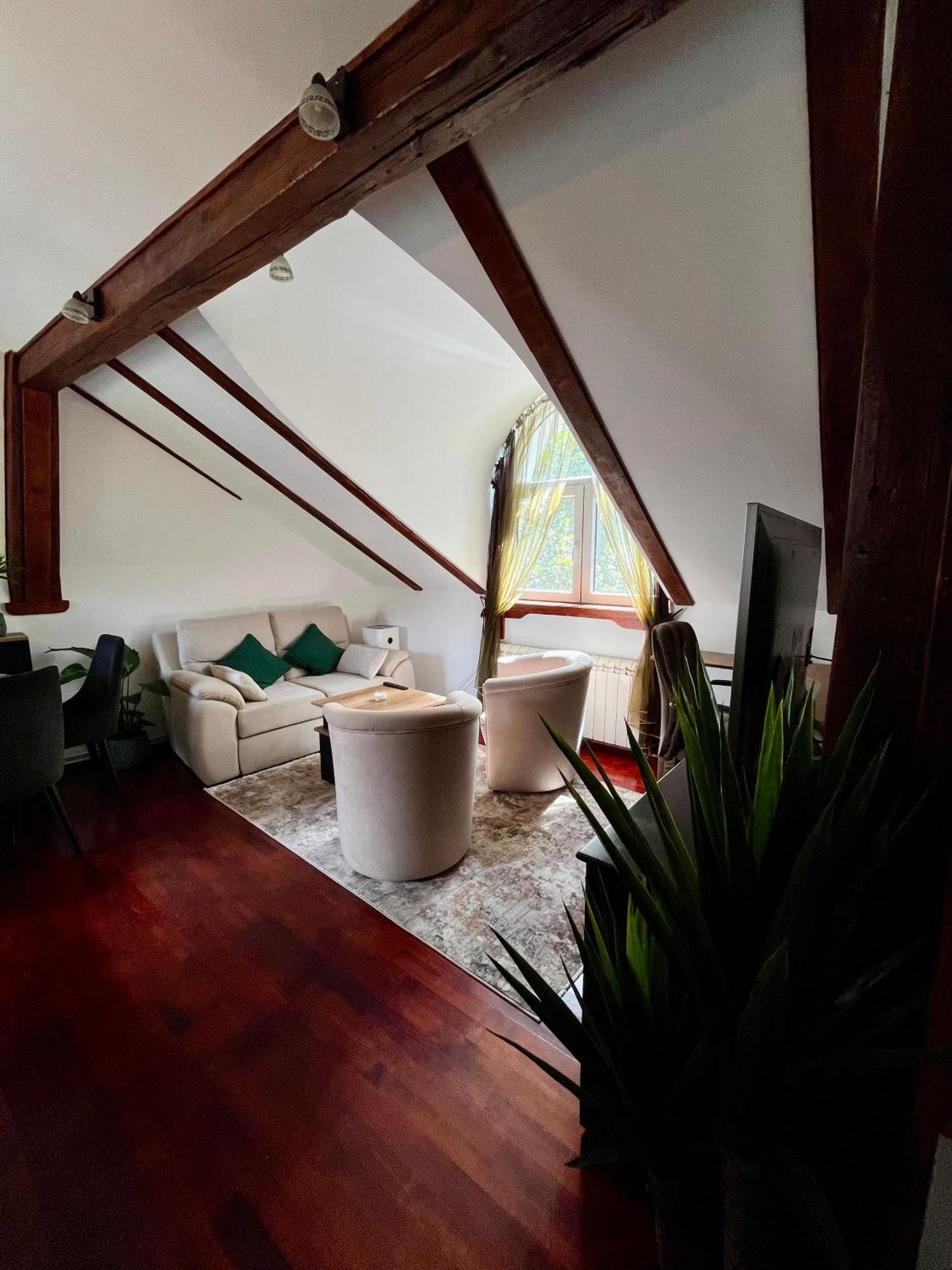 Ferienwohnung Urban Oasis Belgrad Exterior foto